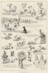 La tragica storia della mia vita